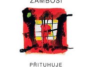 Přituhuje od Žambochů albem roku 2009