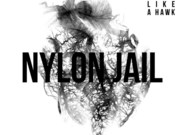 Vložte kočku a Nylon Jail získali cenu Vinyla
