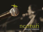 Nezmaři: Stopy bláznů (recenze CD)