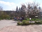 100_2490.jpg