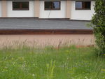 DSCN0649.jpg