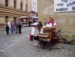 P7030034.jpg