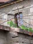 DSCN0349.jpg