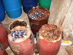 DSCN0391.jpg