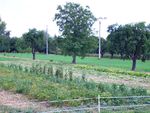 DSCN0345.jpg