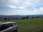 100_0691.jpg