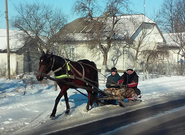 Potřeby Ukrajinců a štědrost Čechů