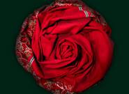 Programové tipy (18.–24. června 2018)