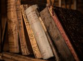 Brněnská Noc literatury 2026