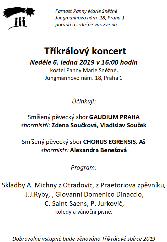 2019_01_koncert_snezna