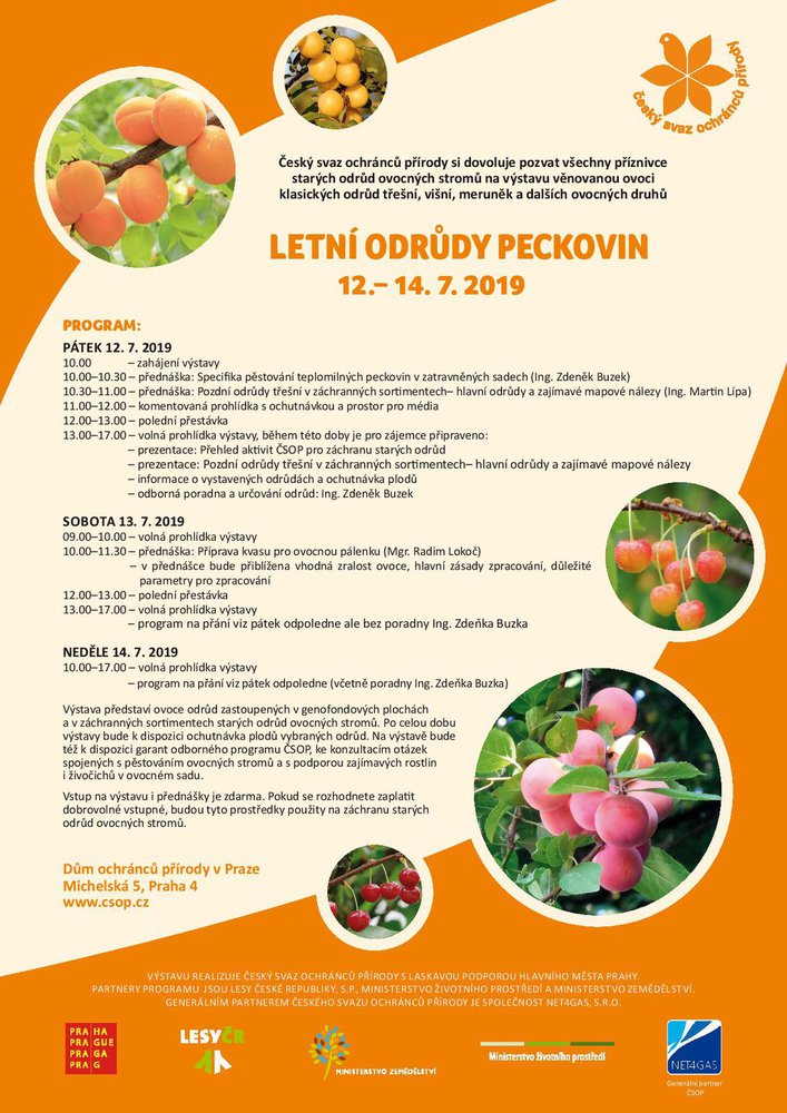 2019_07_csop_letni_peckoviny