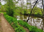 Dobrovolníci i v dešti uklízí řeku Sázavu. Snad nepřijde povodeň s dalším nepořádkem, říkají