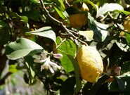 Očekávané události soboty 20. dubna 2024