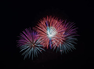 Očekávané události středy 31. prosince 2025