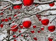 Očekávané události soboty 27. prosince 2025