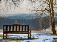 Očekávané události pátku 13. prosince 2024