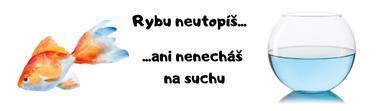 Rybu neutopíš!