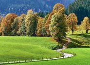 Je důležité, že papež František dal ekologii duchovní rozměr, říká předseda spolku Laudato si‘