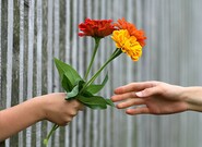 Očekávané události soboty 20. července 2024