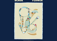 Hudební kompas – belgická skupina Black Flower