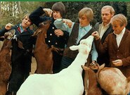 Poslechněte si příběh alba Pet Sounds po 60 letech